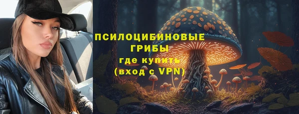 твердый Верхний Тагил